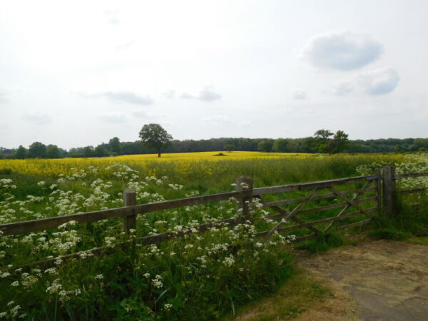 Newlands Farm, Chippenham, SN14