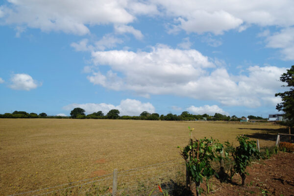 Harford Close, Rangeworthy
