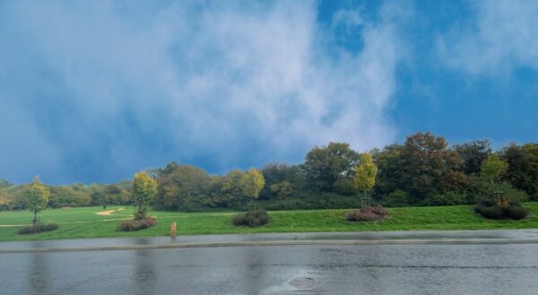 Reeves Gardens, Yate