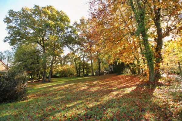 Badminton Road, Coalpit Heath