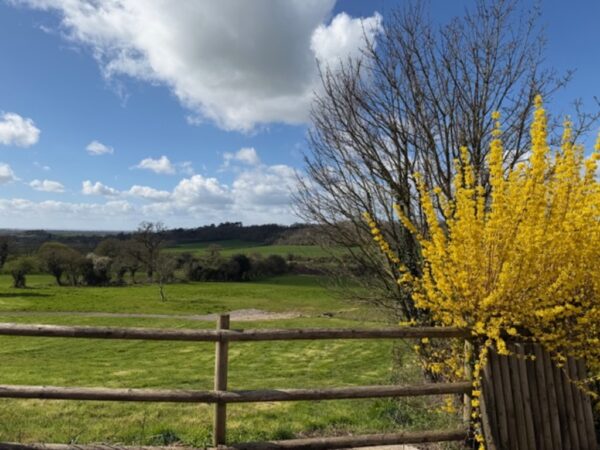 Gloucester Road, Bristol, BS35