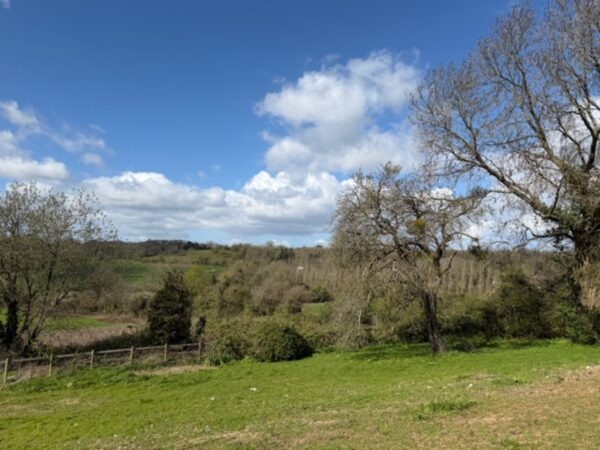 Gloucester Road, Bristol, BS35